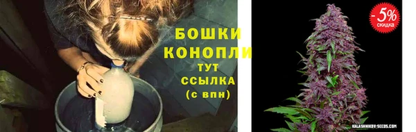 дурь Нея