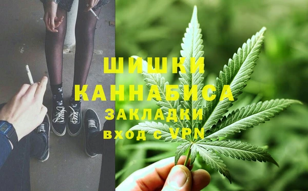 PSILOCYBIN Арсеньев